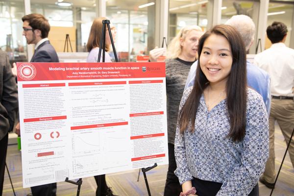 Modeling branchial artery smooth muscle function in space